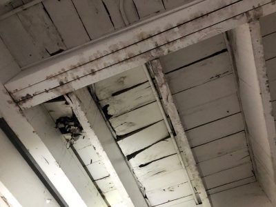 Deteriorating ceiling with peeling paint and visible structural damage, illustrating building system failure assessment